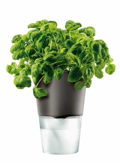 Горшок для растений с естественным поливом Herb Pot Small 3