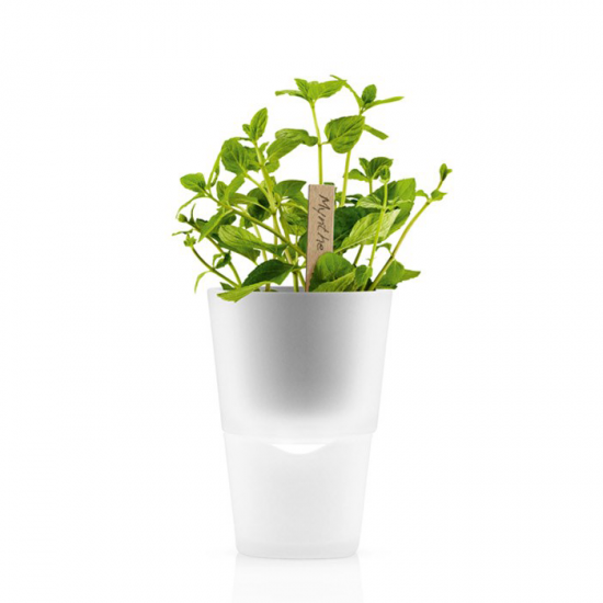 Горшок для растений с естественным поливом Herb Pot Small 4