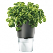 Горшок для растений с естественным поливом Herb Pot Large