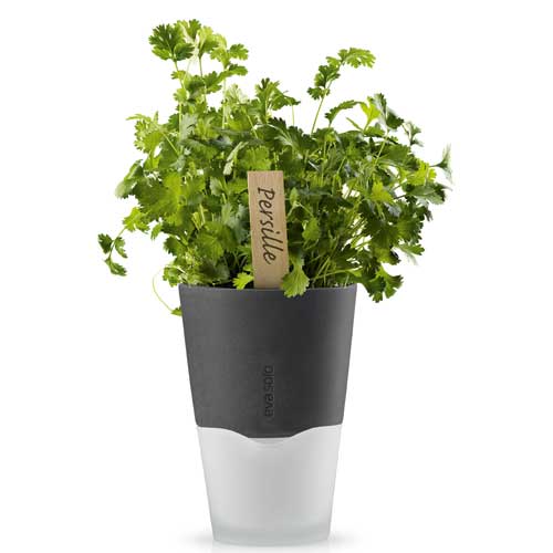 Горшок для растений с естественным поливом Herb Pot Large 4